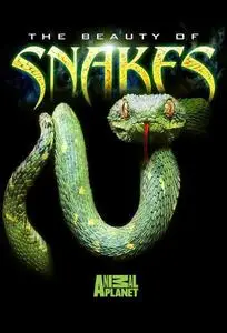 Beauty of Snakes (2003)