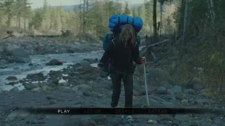 Wild / Дикая (2014)