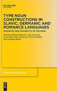 Type Noun Constructions in Slavic, Germanic and Romance Languages: Semantics and pragmatics on the move