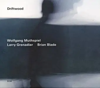 Wolfgang Muthspiel / Larry Grenadier / Brian Blade - Driftwood (2014) {ECM 2349}