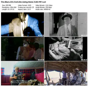 PBS - The Blues S01E01: Feel Like Going Home (2003)