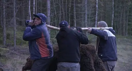 TrollHunter (2010)