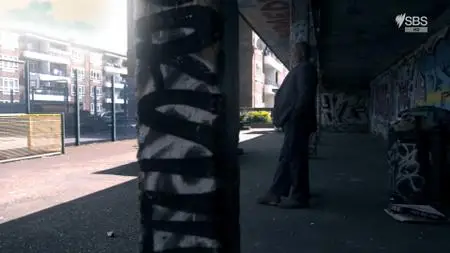 BBC - Horizon: Why Did I Go Mad? (2017)