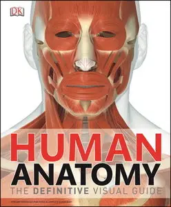 Human Anatomy