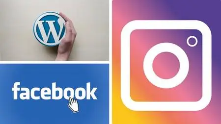 WordPress/Instagram/Facebook Ads - The Complete Course 2020