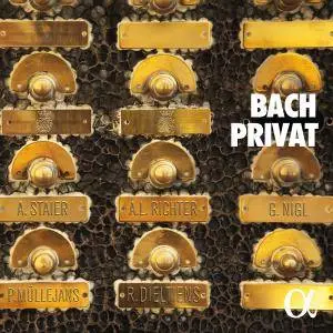 Anna Lucia Richter - Bach Privat (2017) [Official Digital Download 24/96]