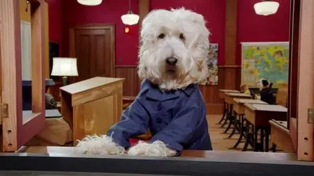 Pup Academy S01E19