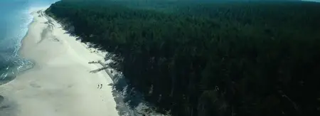 28 Years Later (2025)
