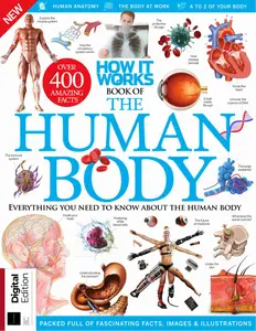 How It Works Book of the Human Body - 21st Edition - 8 August 2024