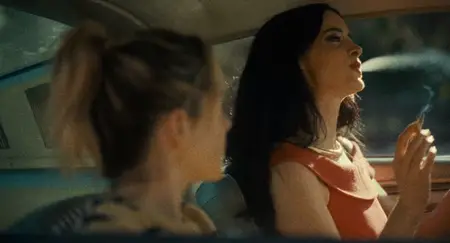 Stone Cold Fox (2025)