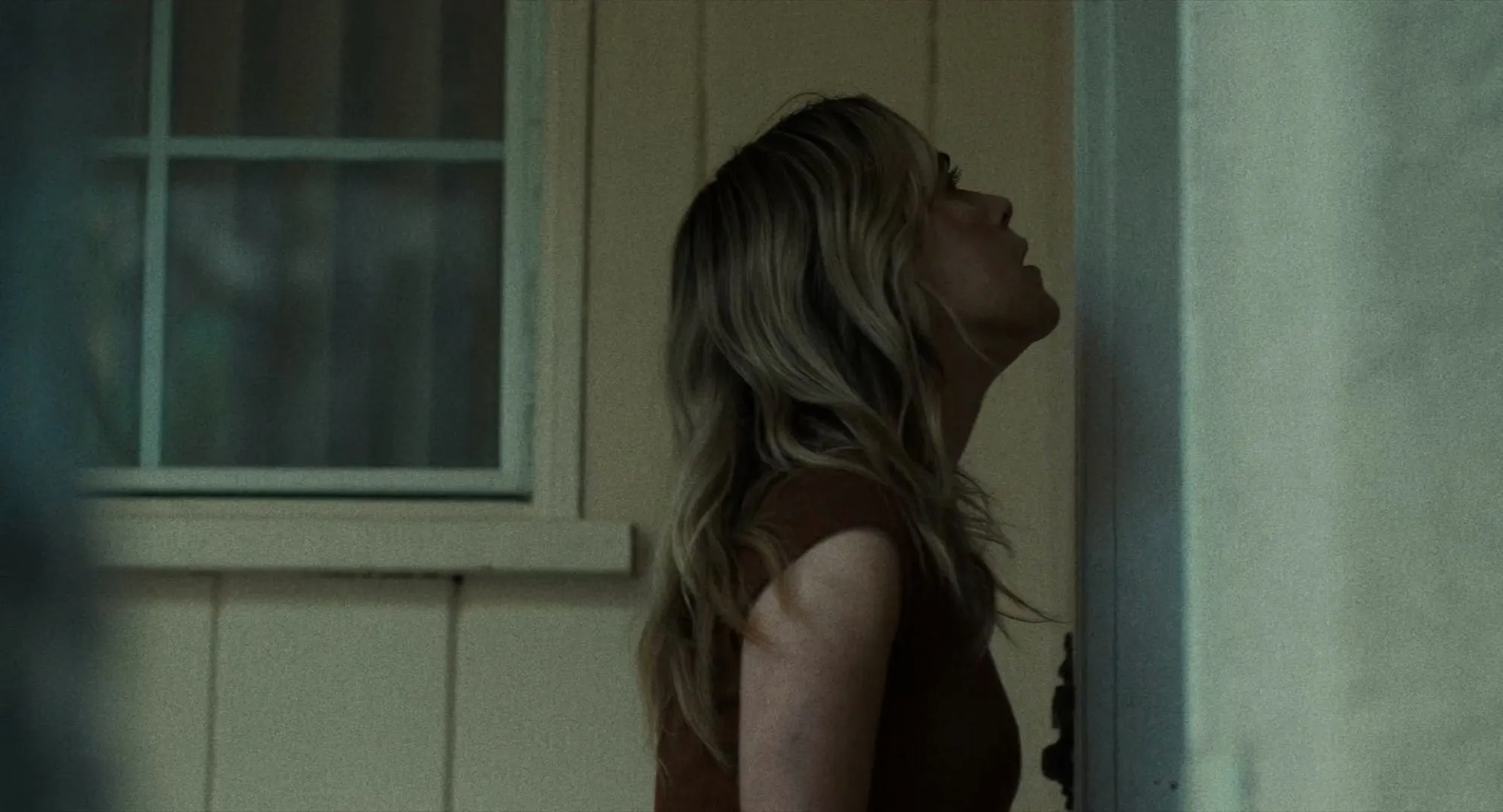 Stone Cold Fox (2025)