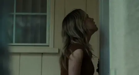 Stone Cold Fox (2025)