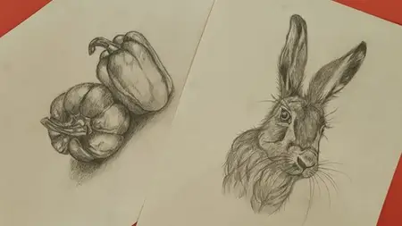 Mastering The Art Of Drawing: From Fundamentals To Advanced