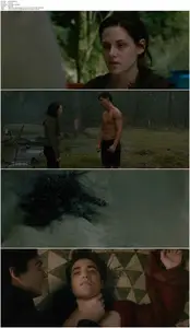 The Twilight Saga: New Moon (2009)