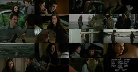 The Twilight Saga: New Moon (2009)