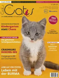 Our Cats - September 2025
