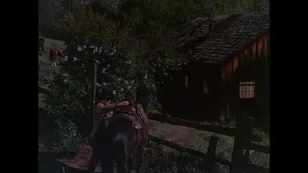 Silver City (1951)