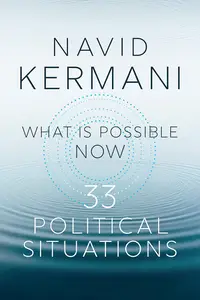 What is Possible Now: 33 Political Situations