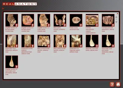Real Anatomy Software DVD 1.0 [repost]