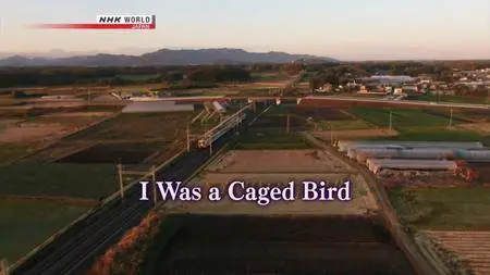 NHK - I Was a Caged Bird (2018)