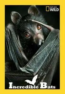 National Geographic - Incredible Bats (2017)
