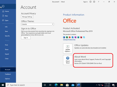 Windows 10 Pro 20H2 10.0.19042.782 (x86/x64) With Office 2019 Pro Plus Preactivated Multilingual January 2021