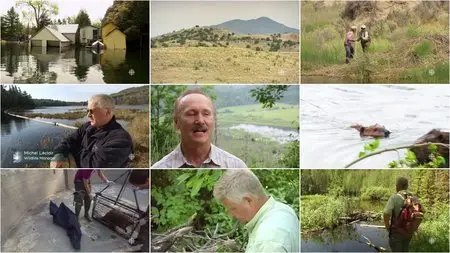 CBC - The Nature of Things: The Beaver Whisperers (2015)