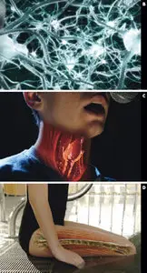 National Geographic Inside the Living Body