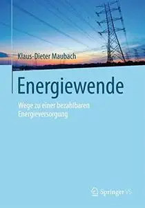 Energiewende: Wege zu einer bezahlbaren Energieversorgung