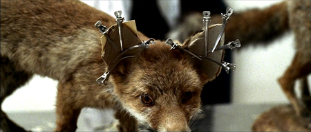 L'imbalsamatore / The Embalmer (2002)