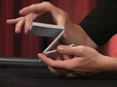 Poker: The Complete Chip and Card Handling Series [Repost]