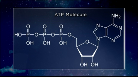 TTC Video - Life in Our Universe [repost]