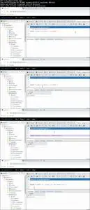 SQL Bootcamp: SQL and PostgreSQL Database for Beginners