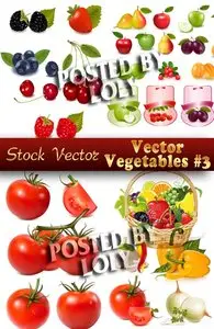 Fresh vegetables # 3 - Stock Vector