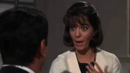 Sex and the Single Girl (1964) [Repost]