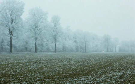 Germany In Autumn / Deutschland im Herbst (1978)