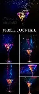 Stock Photo - Fresh Cocktails