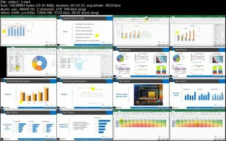 Data Visualization in Excel: All Excel Charts and Graphs [Video]