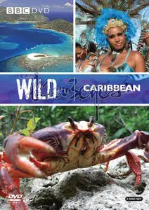 BBC - Wild Caribbean (2007)