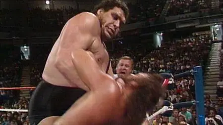 Andre the Giant (2018)