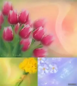 Psd Templates: Spring