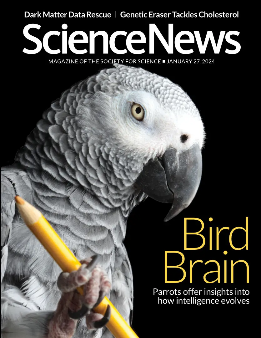 Science News 27 January 2024 / AvaxHome