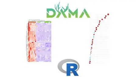 Pathway Enrichment With Gprofiler, Clusterprofiler And Fgsea