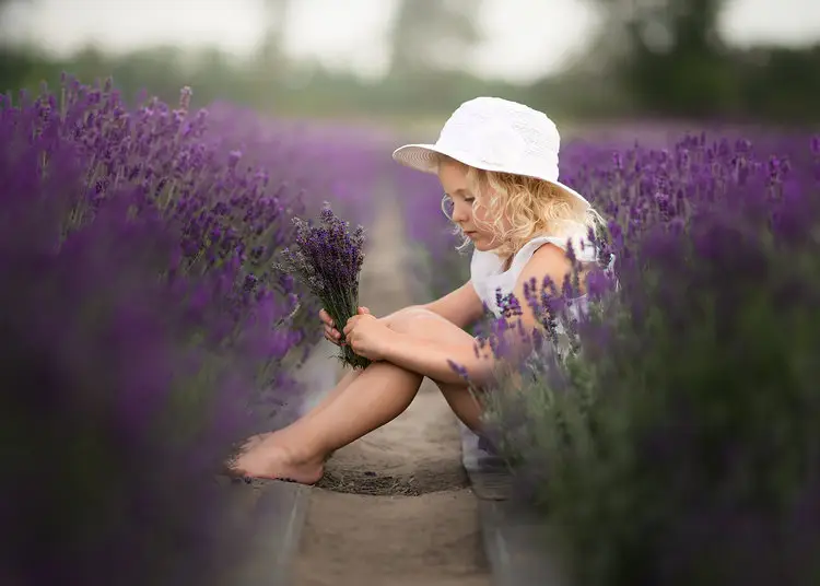 Daniel Venter Post Processing Video - Lavender
