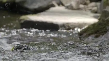 Wild Britain S01E04