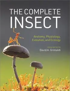 The Complete Insect: Anatomy, Physiology, Evolution, and Ecology