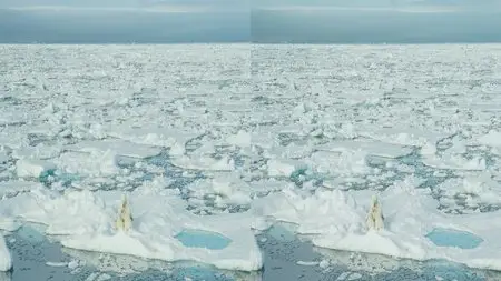 Imax - To the Arctic 3D (2012)