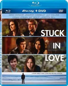 Stuck in Love (2012)