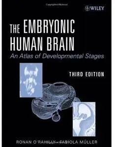 The Embryonic Human Brain: An Atlas Of Developmental Stages (3rd edition)