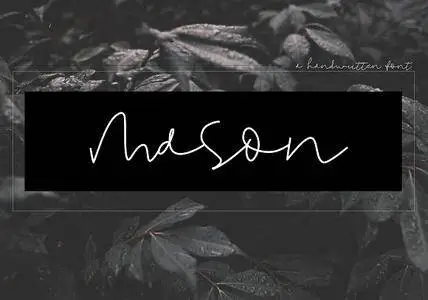 CreativeMarket - Mason - Handwritten Signature Font 2508288